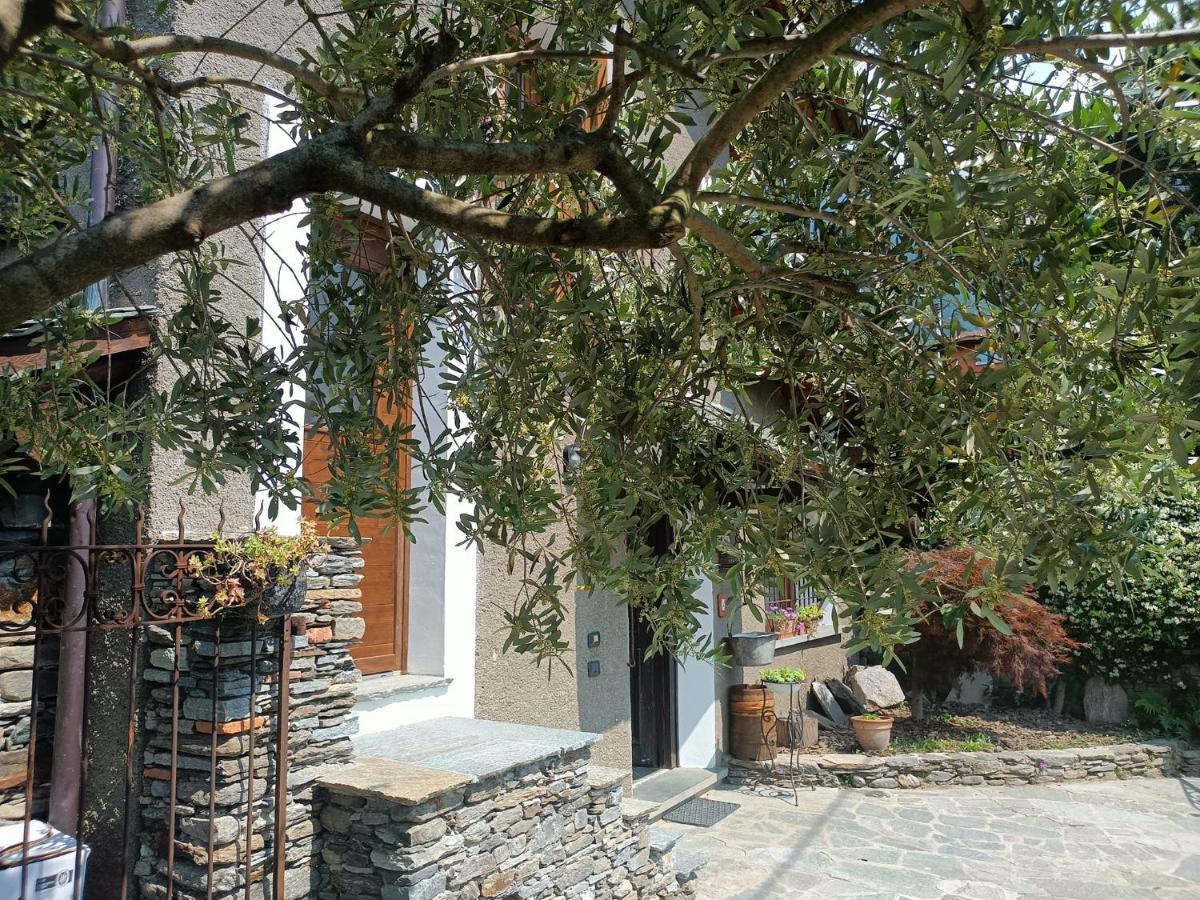 Rosina House E Chalet Colico Ngoại thất bức ảnh